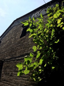Father's house