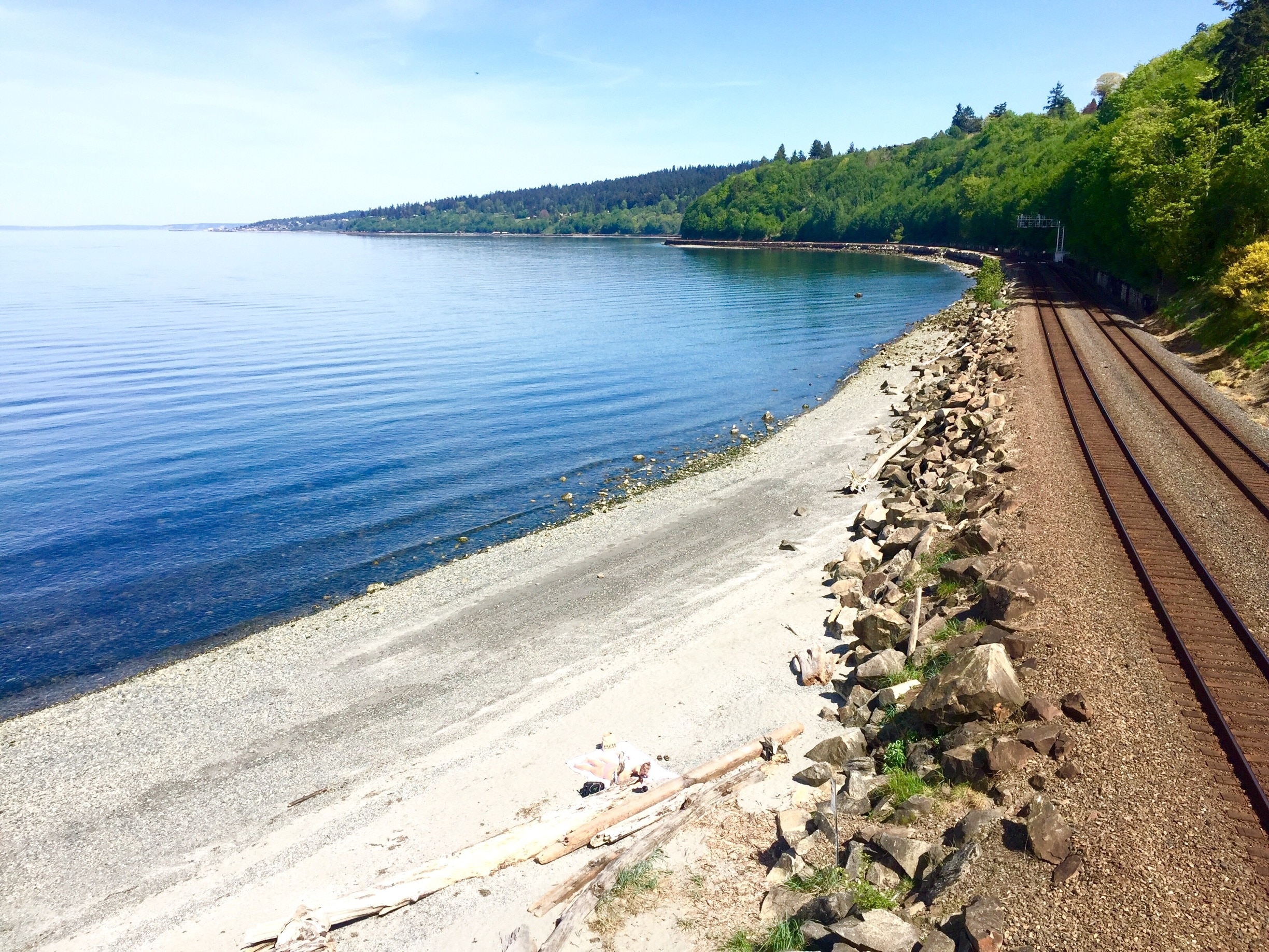 Things to Do in North Seattle in 2025 | Expedia